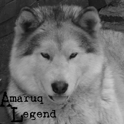 Amaruq Legend